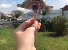 IMG_0585