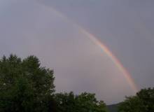 signal-2021-05-06-130000
